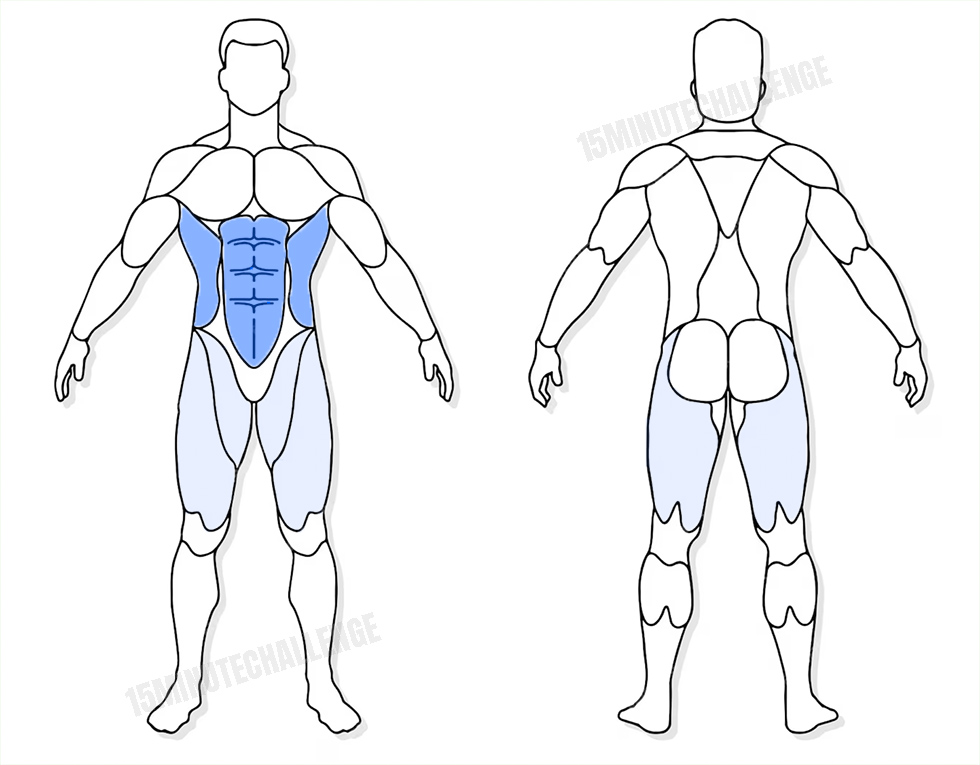 visuel anatomique des muscles sollicités par les Jumping Jack visuel anatomique des muscles sollicités par l'exercice pour les abdominaux du Bicycle crunch