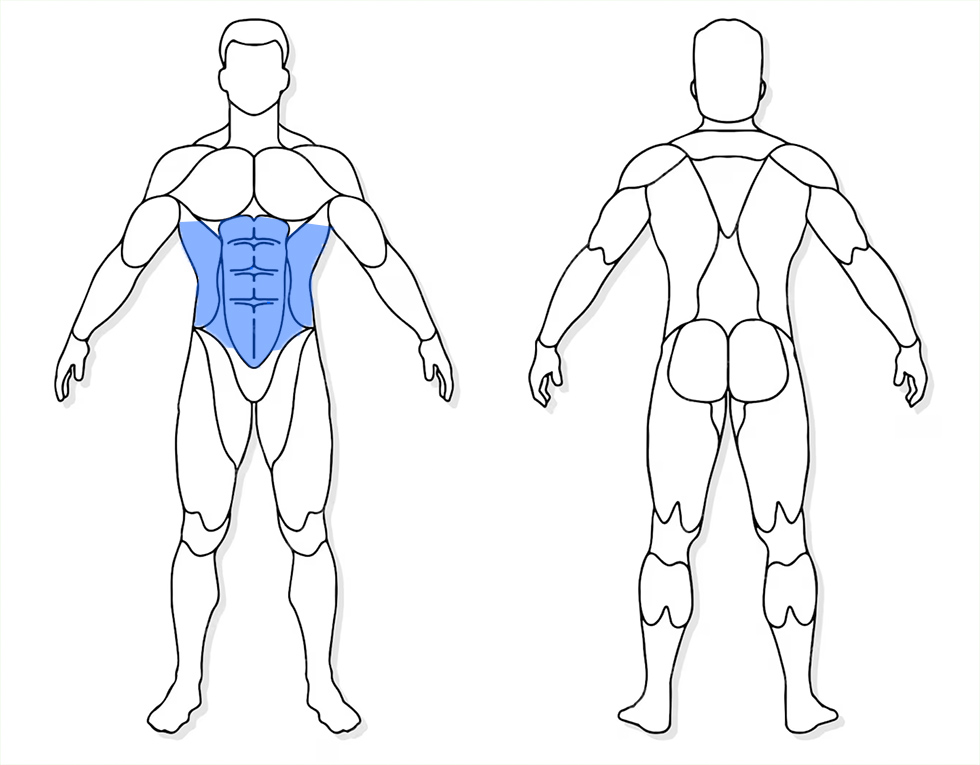 visuel anatomique des muscles sollicités par les Jumping Jack visuel anatomique des muscles sollicités par l'exercice Russian Twist avec haltère