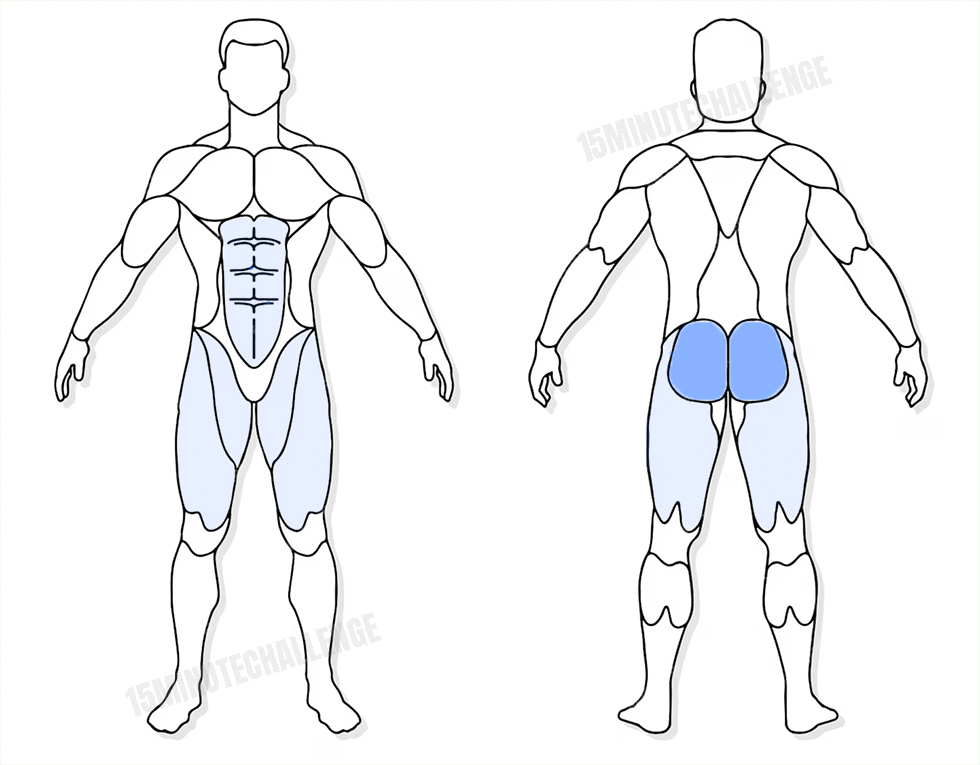 visuel anatomique des muscles sollicités par les Jumping Jack