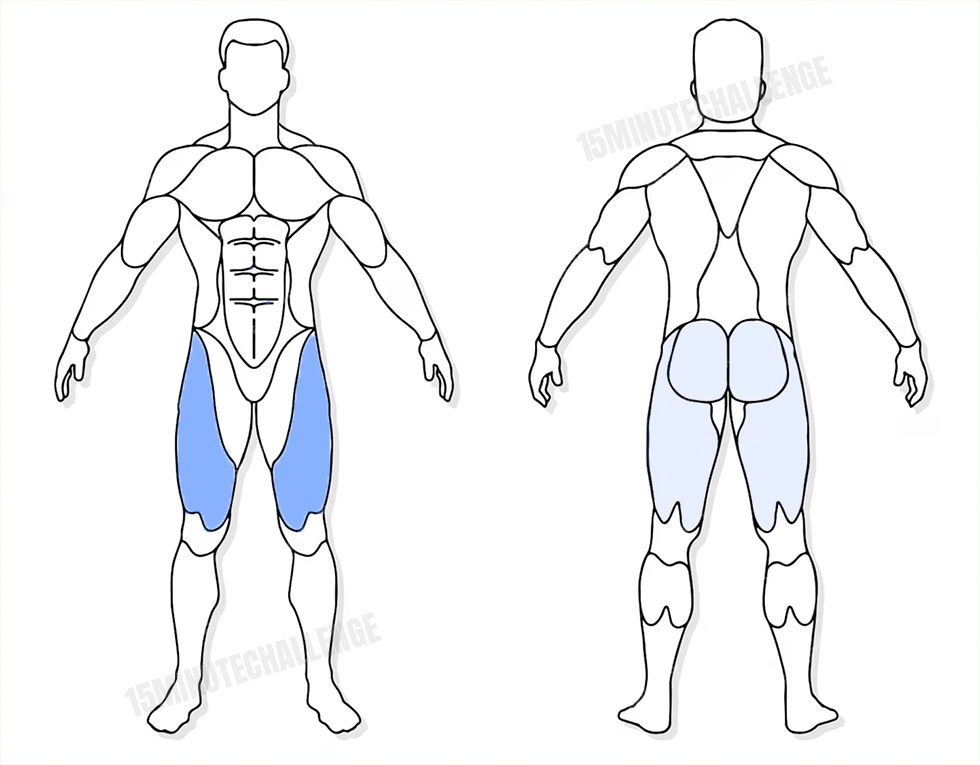 visuel anatomique des muscles sollicités par les Jumping Jack visuel anatomique des muscles sollicités par l'exercice de la chaise dans le vide