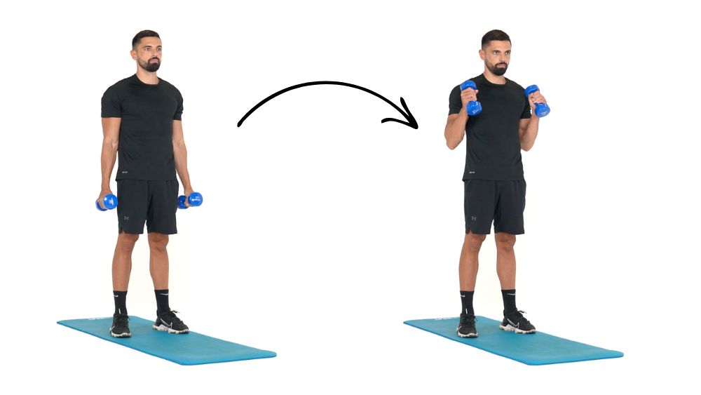 Comment réaliser l'exercice du Curl Biceps prise marteau pour muscler les biceps