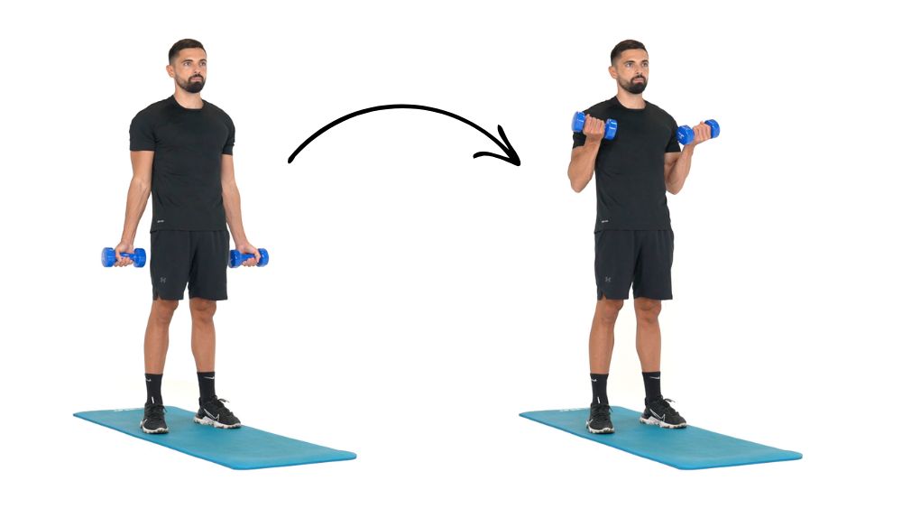 illustration de comment réaliser des Jumping Jack étape par étape Comment réaliser l'exercice du Curl biceps haltères pour muscler les biceps