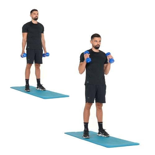 illustration de comment réaliser l'exercice du Curl Biceps prise marteau étape par étape