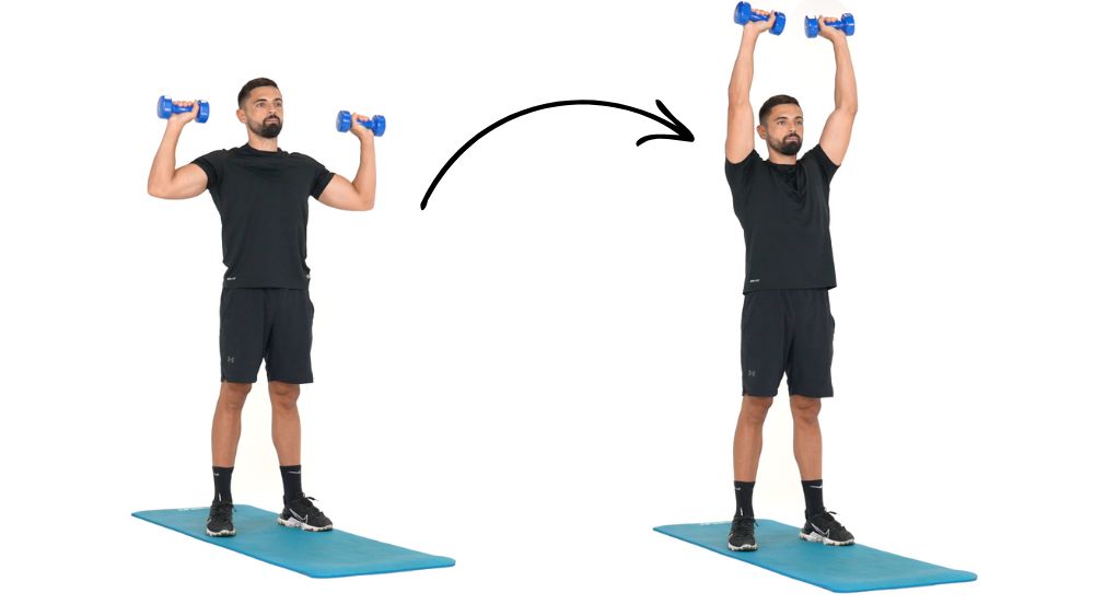 Comment réaliser l'exercice du Développé épaules avec haltères pour muscler les épaules.
