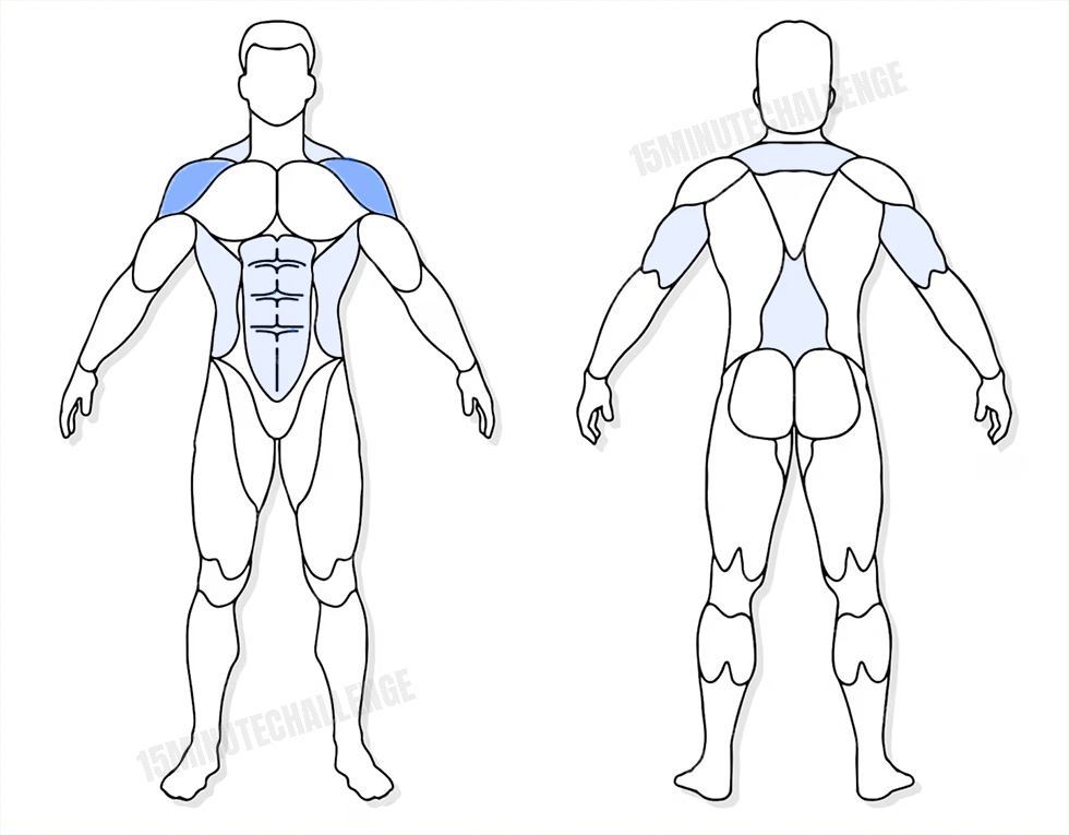 visuel anatomique des muscles sollicités par les Jumping Jack visuel anatomique des muscles sollicités par l'exercice du Développé épaules avec haltères