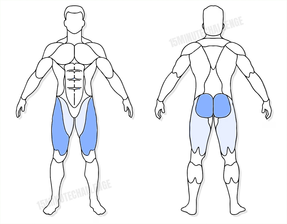 visuel anatomique des muscles sollicités par les Jumping Jack visuel anatomique des muscles sollicités par l'exercice des fentes