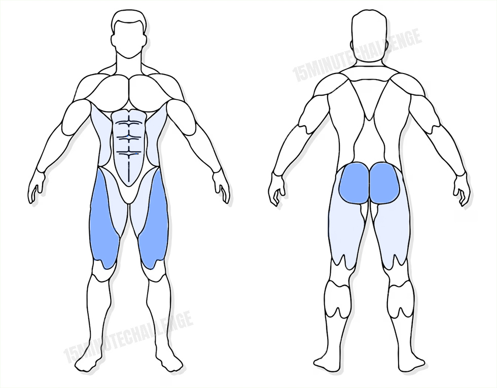 visuel anatomique des muscles sollicités par les Jumping Jack visuel anatomique des muscles sollicités par les fentes arrières