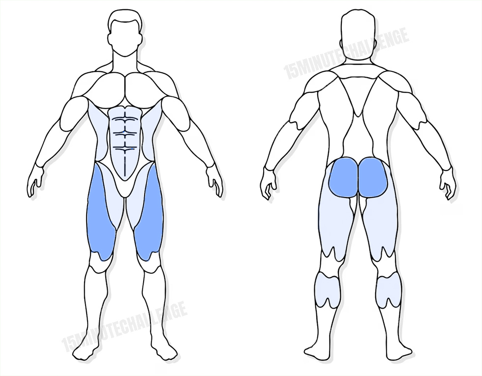 visuel anatomique des muscles sollicités par les Jumping Jack visuel anatomique des muscles sollicités par les fentes avec rotation du buste