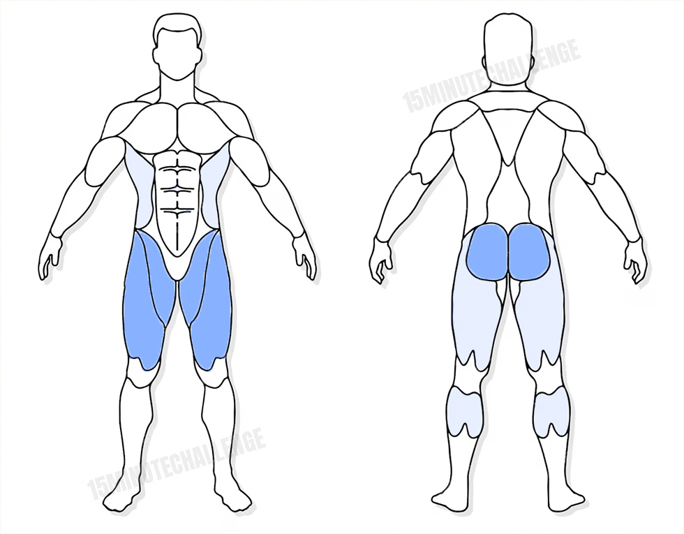 visuel anatomique des muscles sollicités par les Jumping Jack visuel anatomique des muscles sollicités par les fentes latérales