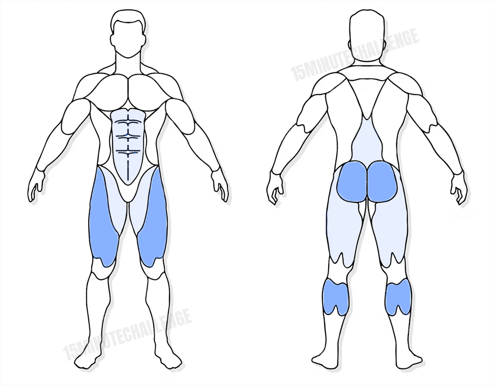 visuel anatomique des muscles sollicités par les Jumping Jack visuel anatomique des muscles sollicités par l'exercice des fentes sautées
