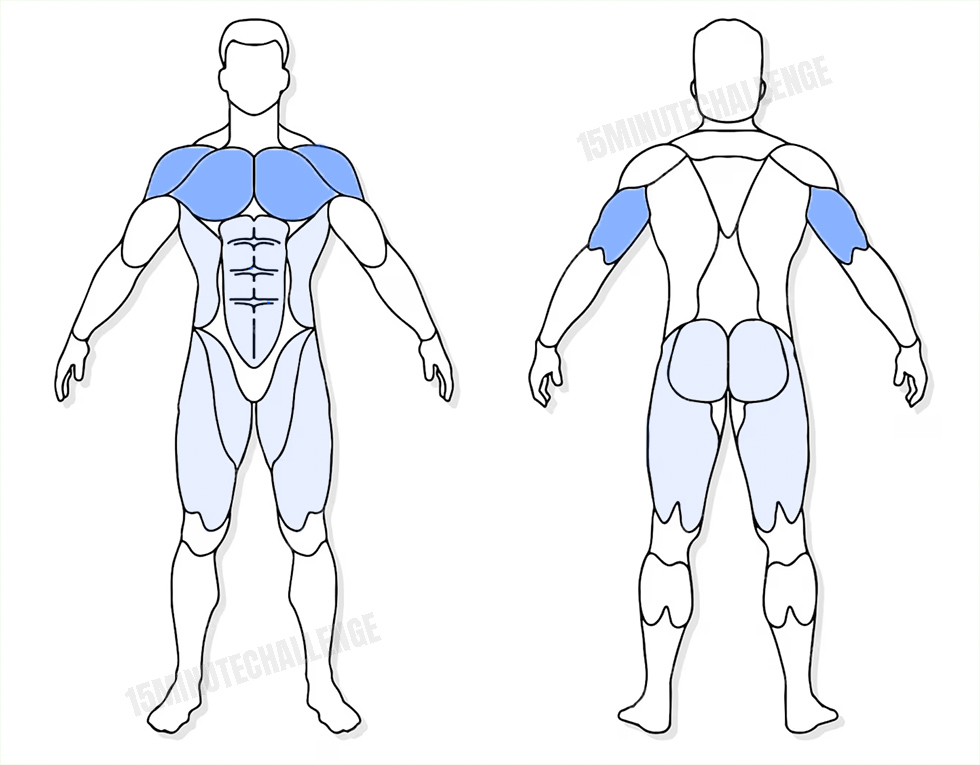 visuel anatomique des muscles sollicités par les Jumping Jack visuel anatomique des muscles sollicités par les spiderman Pushups