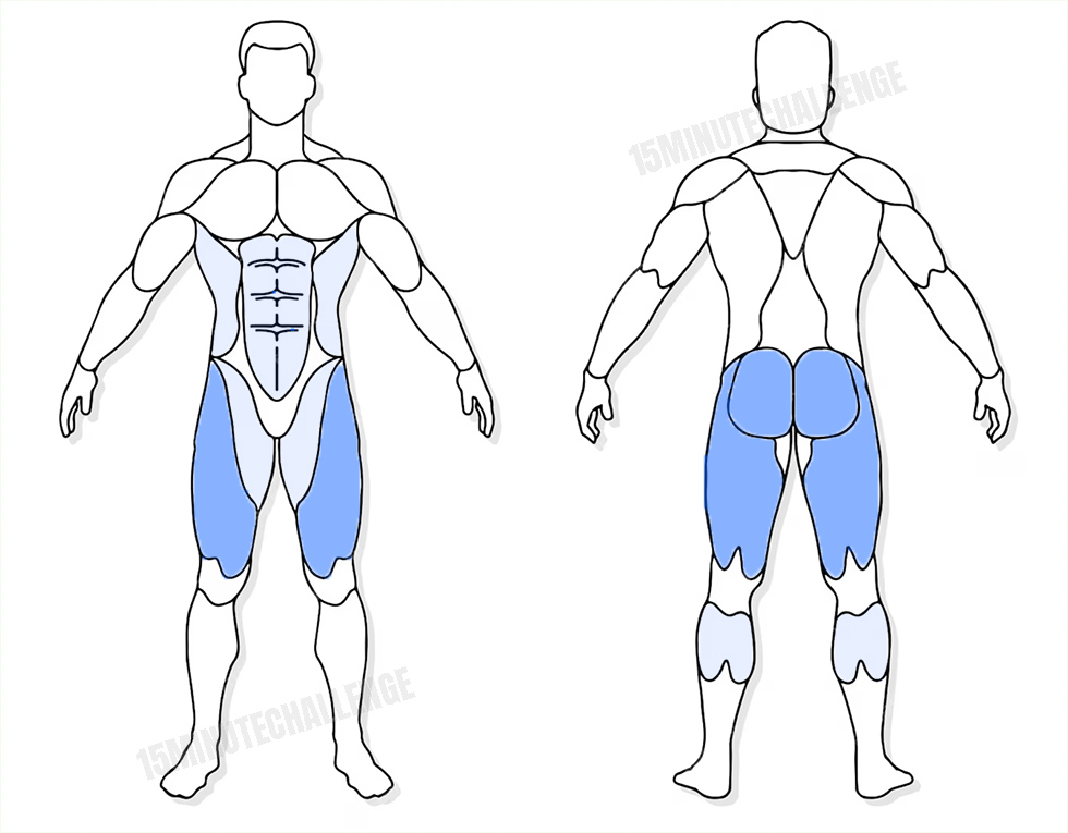 visuel anatomique des muscles sollicités par les Jumping Jack visuel anatomique des muscles sollicités par l'exercice pour les abdominaux du squat