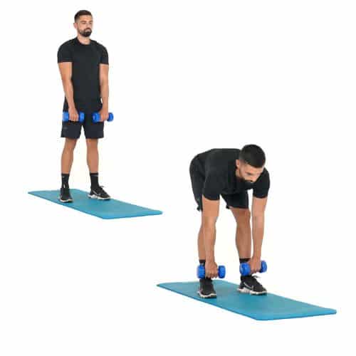 illustration de comment réaliser un Soulevé de terre avec haltères étape par étape. Exercice de musculation