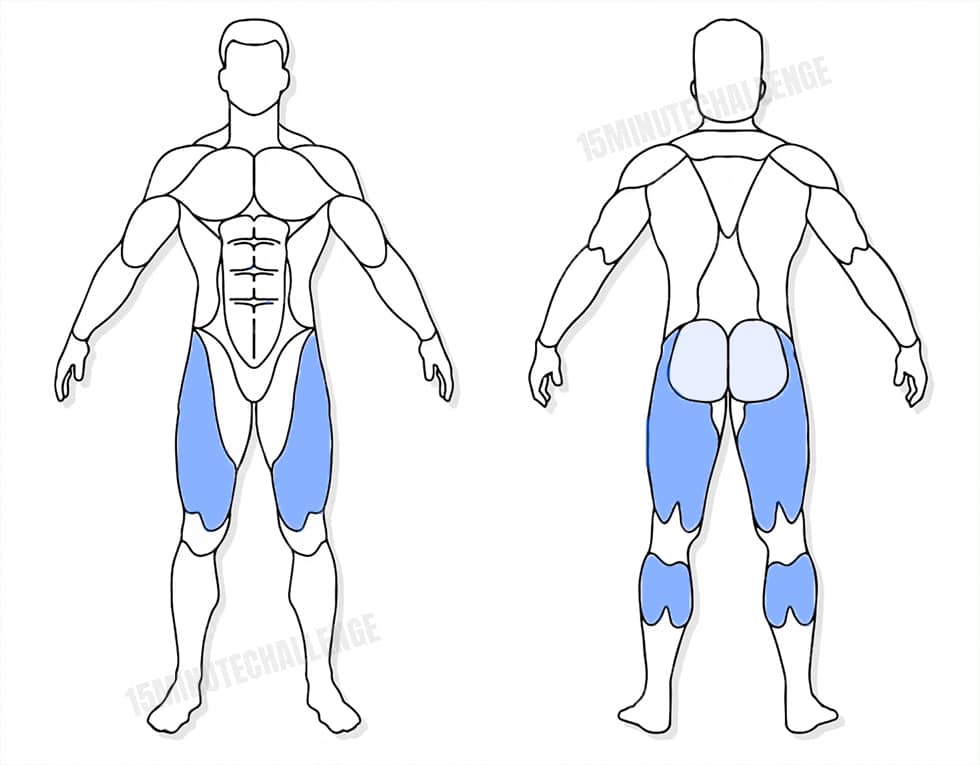 visuel anatomique des muscles sollicités par les Jumping Jack visuel anatomique des muscles sollicités par l'exercice des Butt Kicks (talons fesses)