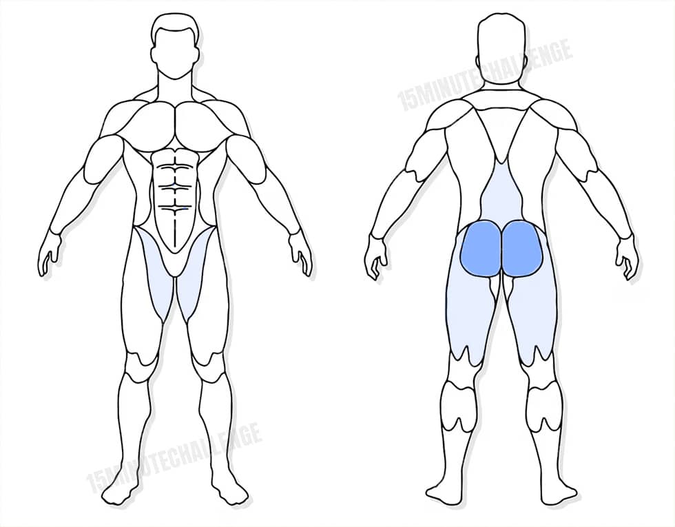visuel anatomique des muscles sollicités par les Jumping Jack visuel anatomique des muscles sollicités par l'exercice du Donkey Kick