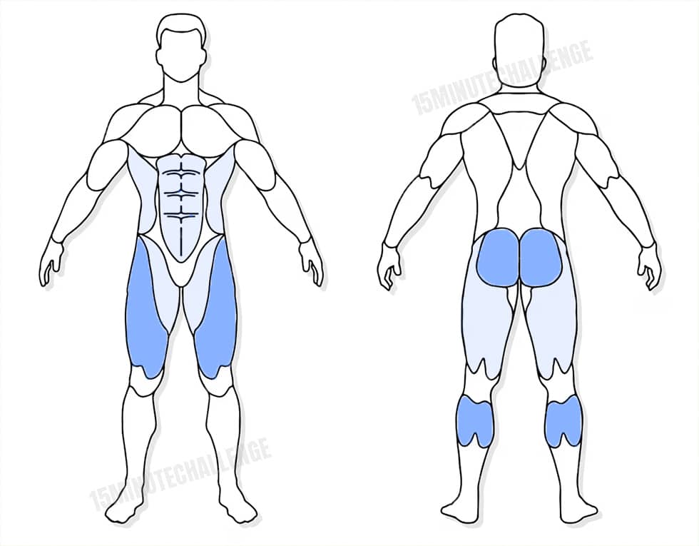 visuel anatomique des muscles sollicités par l'exercice des High Knees