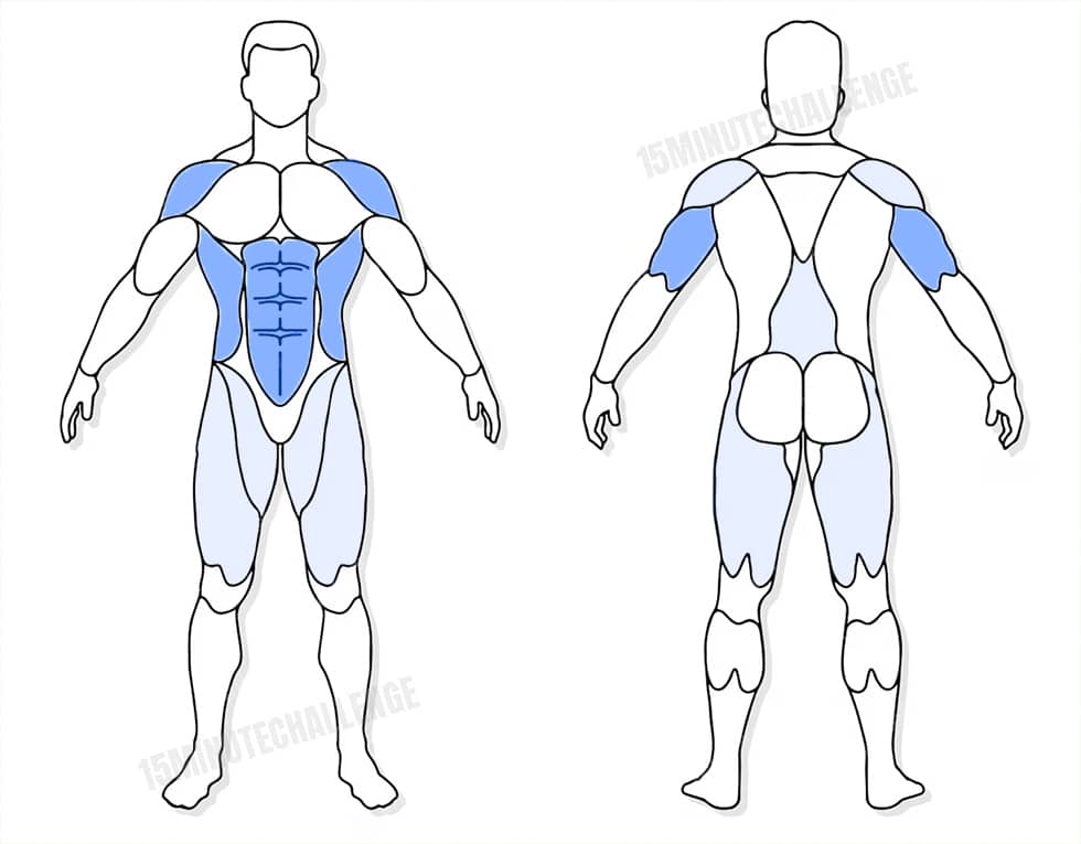 visuel anatomique des muscles sollicités par les Jumping Jack visuel anatomique des muscles sollicités par l'exercice du Plank to Push-up