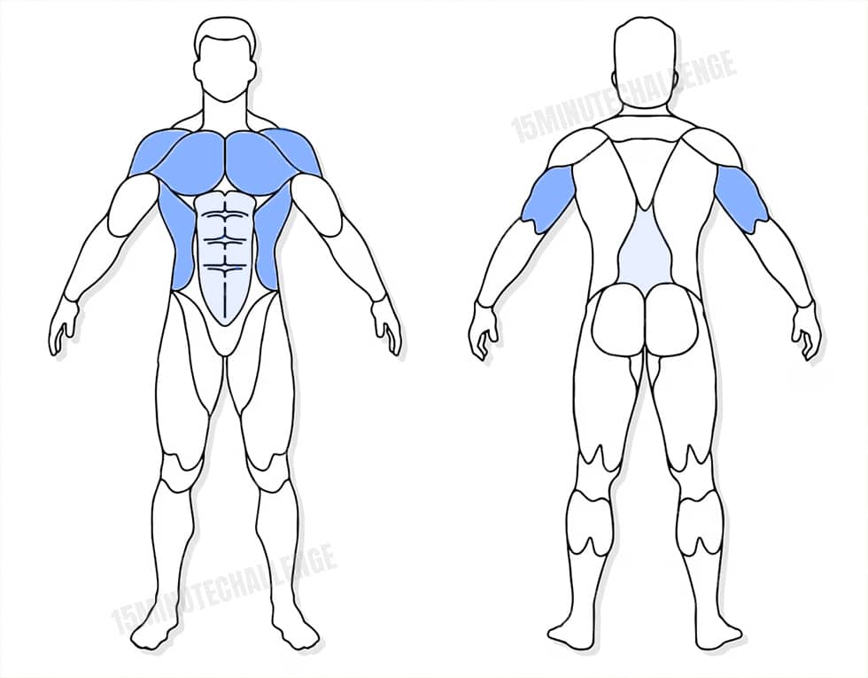 visuel anatomique des muscles sollicités par l'exercice T Push-ups