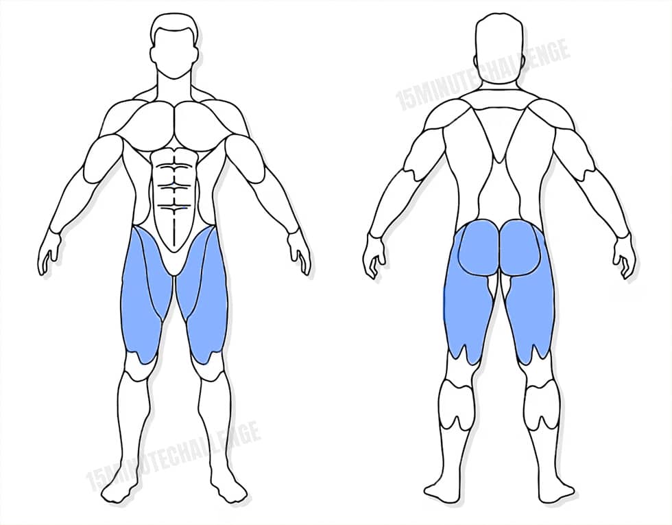 visuel anatomique des muscles sollicités par les Jumping Jack visuel anatomique des muscles sollicités par l'exercice du frog squat