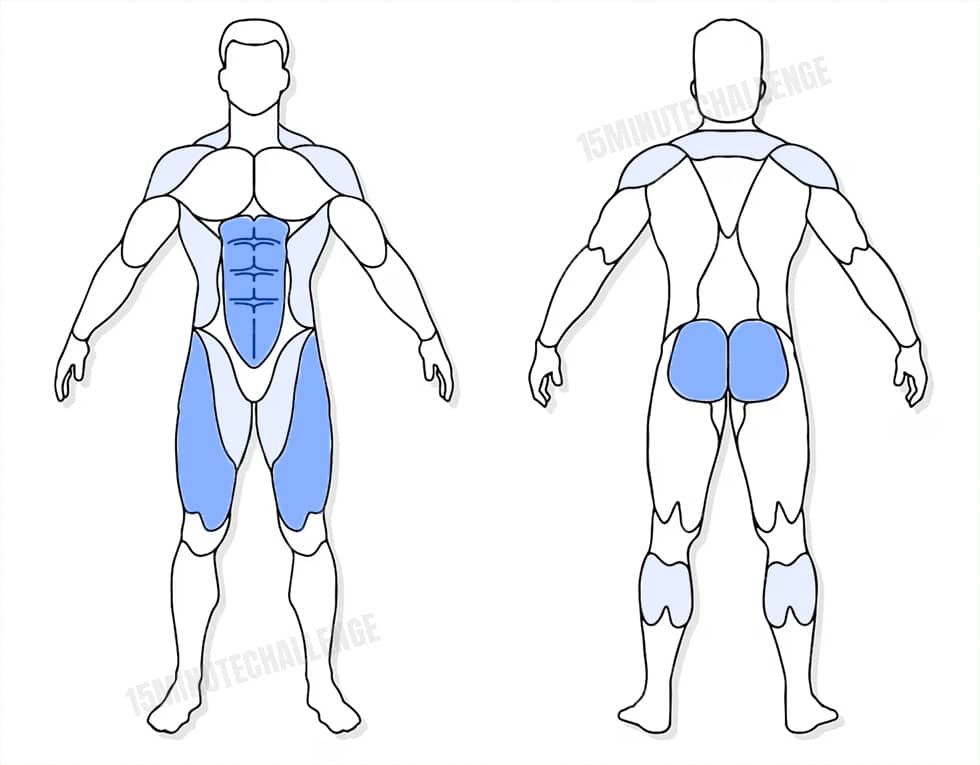 visuel anatomique des muscles sollicités par les Jumping Jack visuel anatomique des muscles sollicités par les low impact jumping jacks