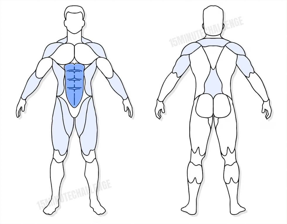 visuel anatomique des muscles sollicités par l'exercice du Mountain Climber
