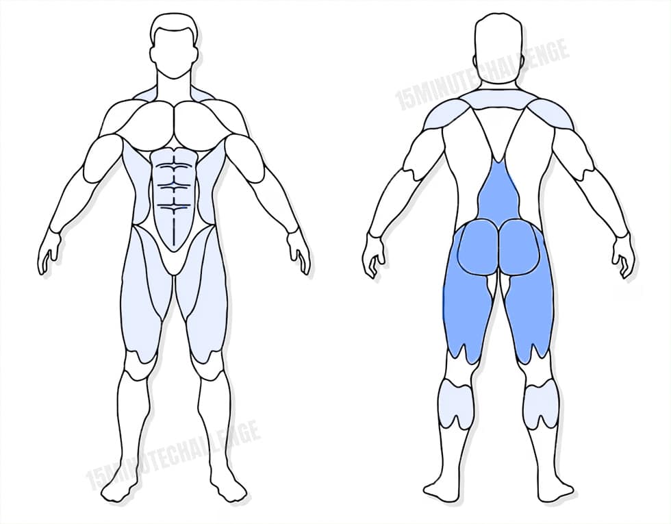 visuel anatomique des muscles sollicités par les Jumping Jack visuel anatomique des muscles sollicités par l'exercice du Soulevé de terre avec haltère