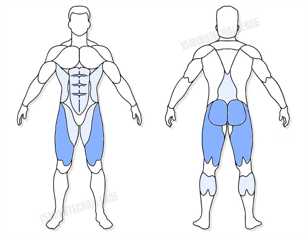 visuel anatomique des muscles sollicités par les Jumping Jack visuel anatomique des muscles sollicités par l'exercice du Squat sumo