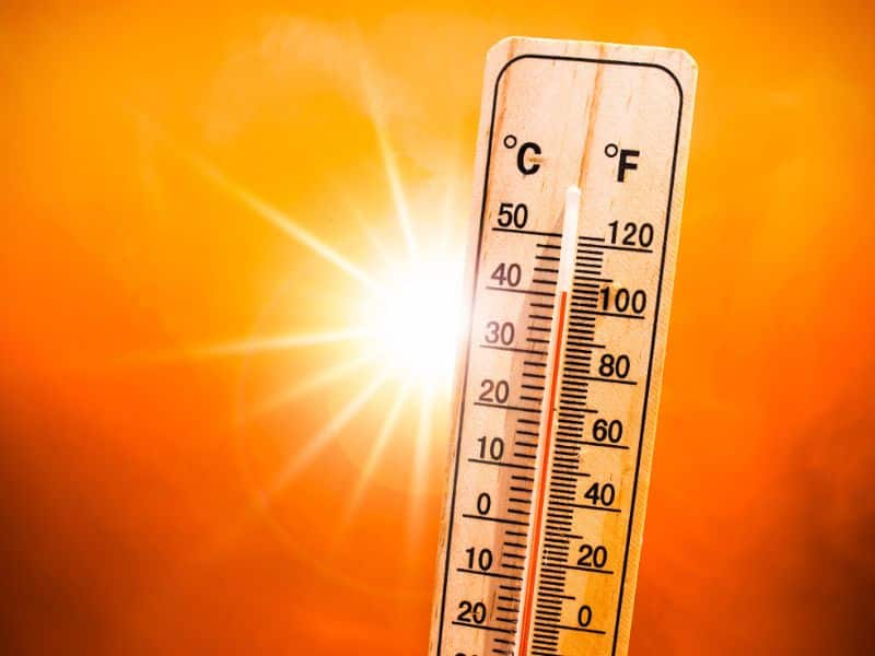 Sport et Canicule : Comment S’entraîner en Toute Sécurité