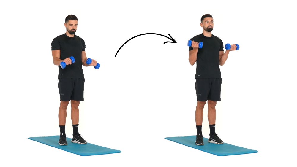 Comment réaliser l'exercice du Zottman Curl . Exercice de fitness et remise en forme à la maison
