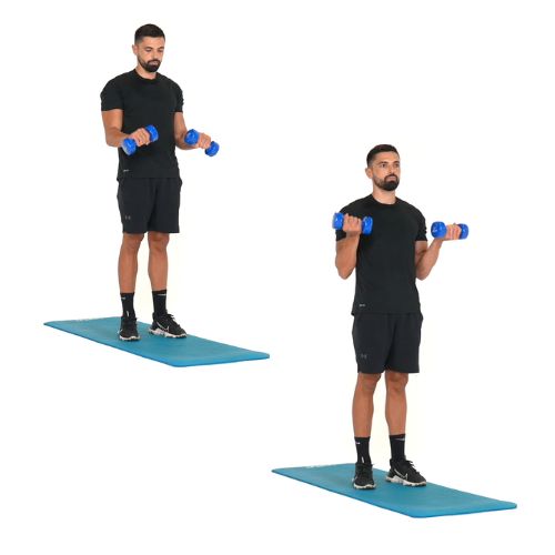 illustration de comment réaliser l'exercice du Zottman Curl