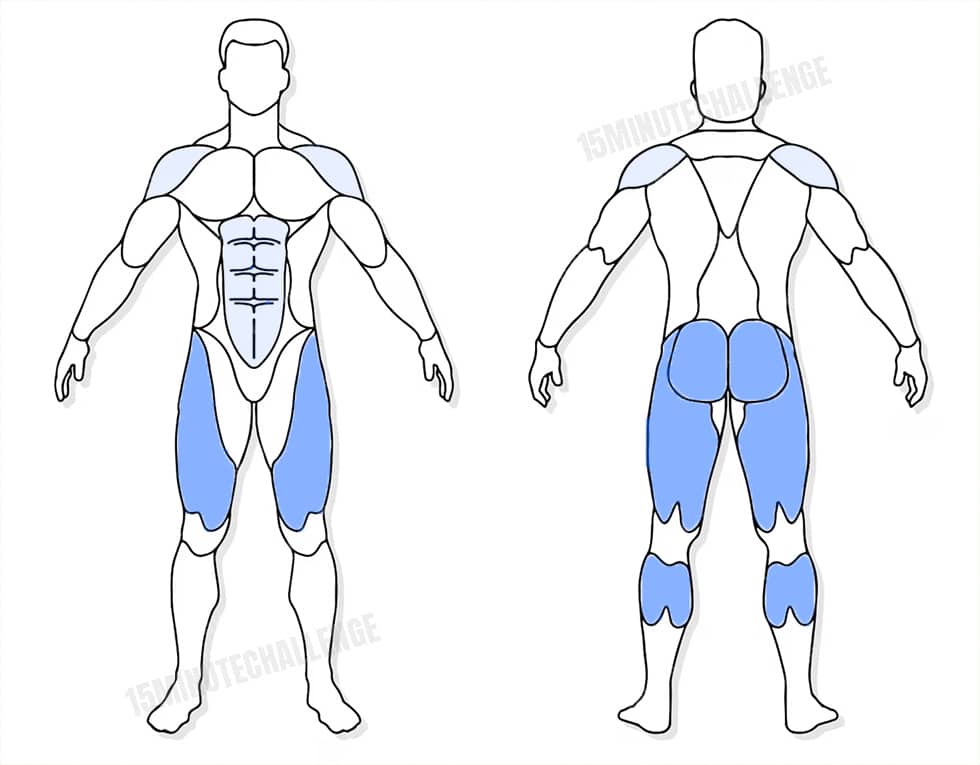 visuel anatomique des muscles sollicités par les Jumping Jack visuel anatomique des muscles sollicités par l'exercice du boxer shuffle
