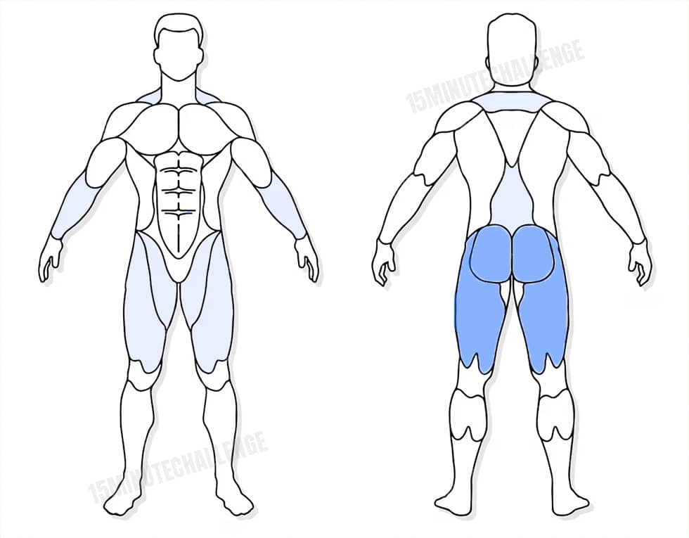 visuel anatomique des muscles sollicités par les Jumping Jack visuel anatomique des muscles sollicités par l'exercice du Deadlift roumain haltères