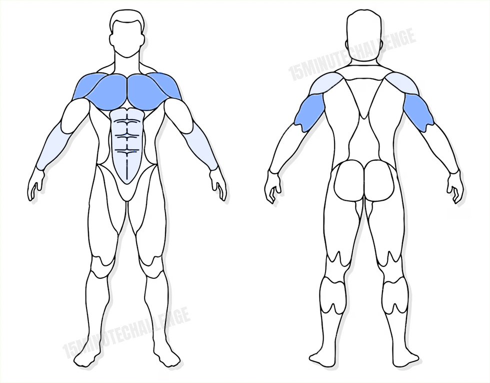 visuel anatomique des muscles sollicités par les Jumping Jack