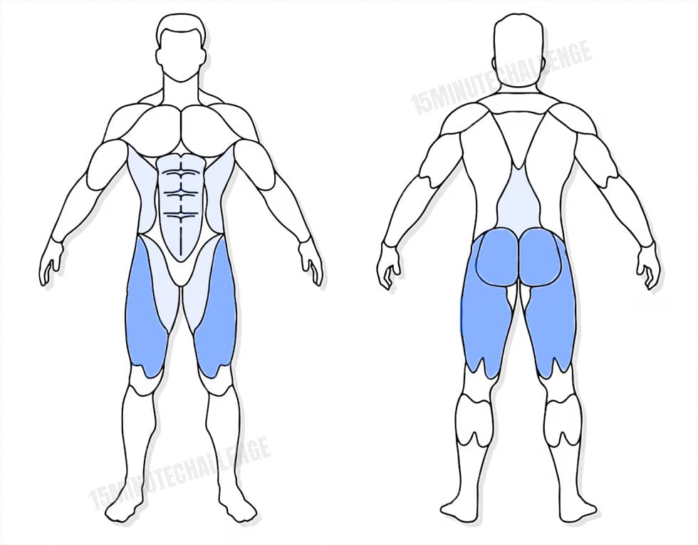 visuel anatomique des muscles sollicités par l'exercice du Goblet Squat Haltère avec rebond