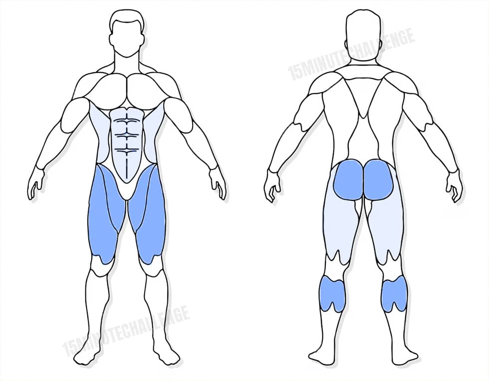 visuel anatomique des muscles sollicités par l'exercice des Lateral Hops
