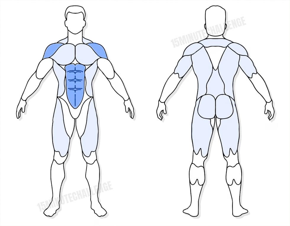 visuel anatomique des muscles sollicités par les Jumping Jack visuel anatomique des muscles sollicités par l'exercice du Plank Walkout