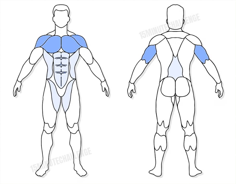visuel anatomique des muscles sollicités par les Jumping Jack visuel anatomique des muscles sollicités par l'exercice du Push-Up-Jack