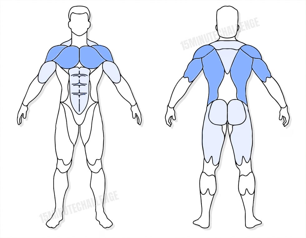 visuel anatomique des muscles sollicités par les Jumping Jack visuel anatomique des muscles sollicités par l'exercice du Tirage bucheron
