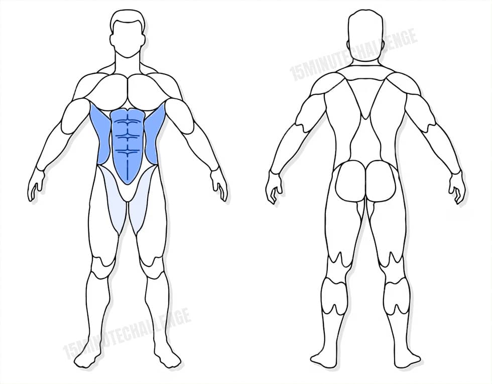 visuel anatomique des muscles sollicités par les Jumping Jack visuel anatomique des muscles sollicités par l'exercice des Scissor Kicks