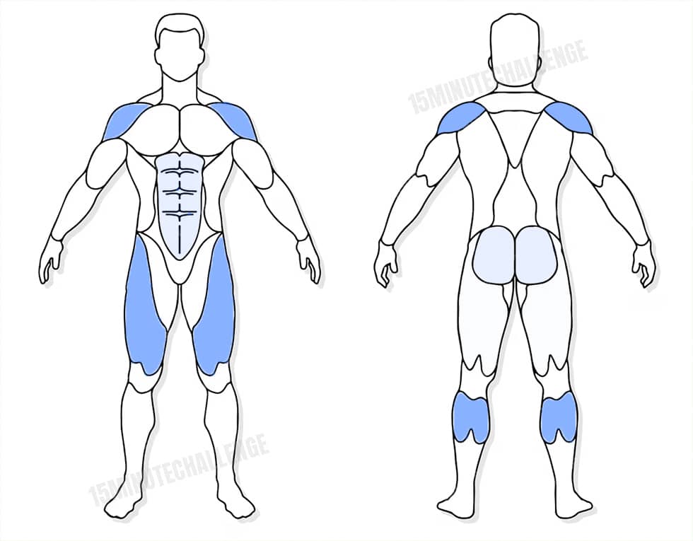 visuel anatomique des muscles sollicités par les Jumping Jack visuel anatomique des muscles sollicités par l'exercice des Seal Jacks