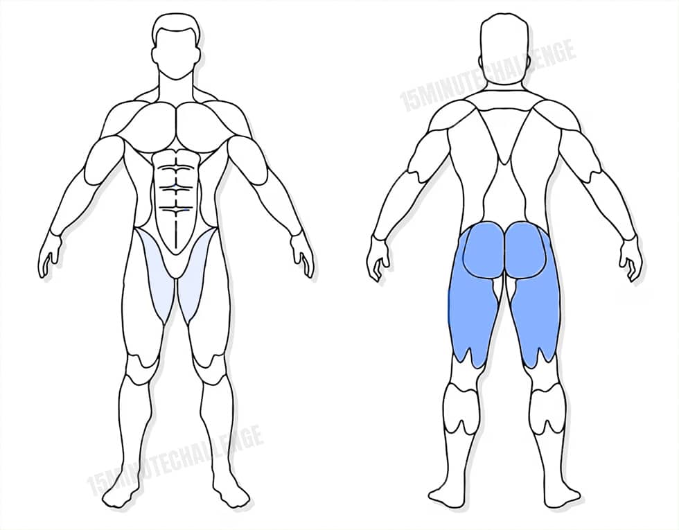 visuel anatomique des muscles sollicités par les Jumping Jack visuel anatomique des muscles sollicités par l'exercice du Single Leg Romanian Deadlift