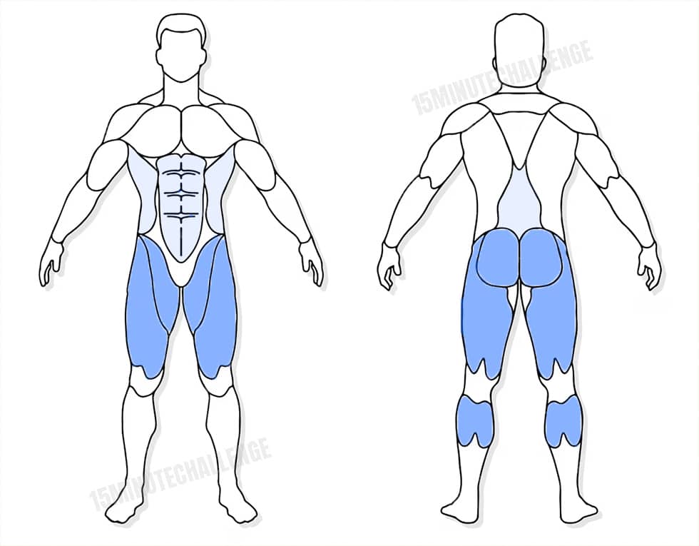 visuel anatomique des muscles sollicités par les Jumping Jack visuel anatomique des muscles sollicités par l'exercice du Skaters (ou patineur)