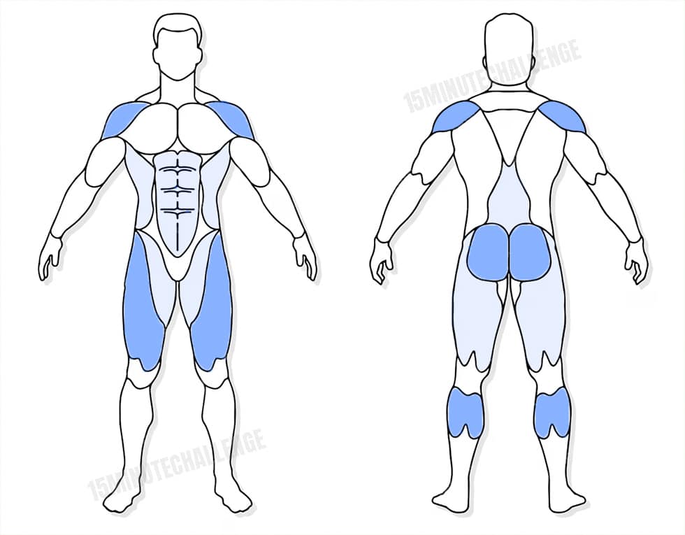 visuel anatomique des muscles sollicités par les Jumping Jack visuel anatomique des muscles sollicités par l'exercice des Star Jump
