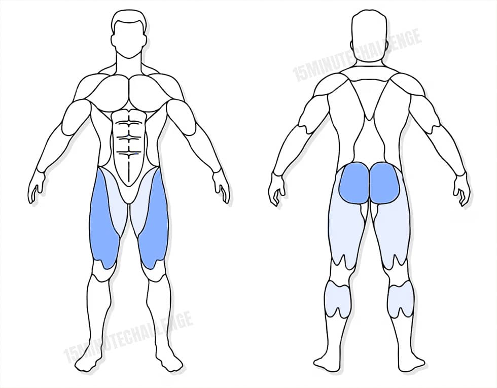 visuel anatomique des muscles sollicités par les Jumping Jack visuel anatomique des muscles sollicités par l'exercice du Steph touch