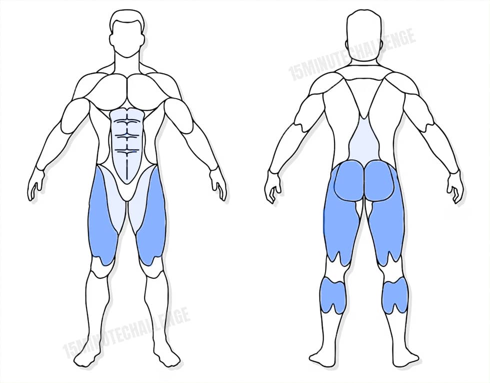 visuel anatomique des muscles sollicités par l'exercice des Tuck Jumps
