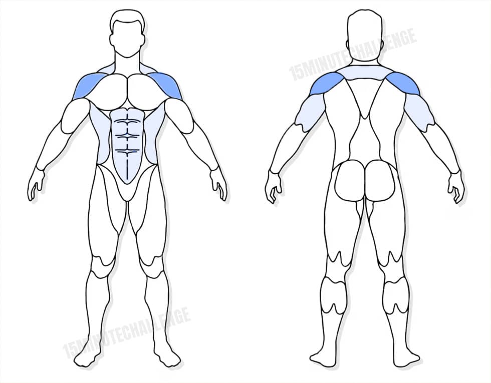 visuel anatomique des muscles sollicités par les Jumping Jack visuel anatomique des muscles sollicités par l'exercice du Halo avec haltère
