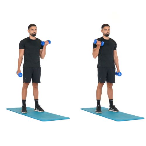 illustration de comment réaliser l'exercice du Curl biceps alterné avec haltères