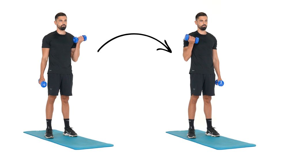 Comment réaliser l'exercice du Curl biceps alterné avec haltères. Exercice de fitness et remise en forme à la maison.