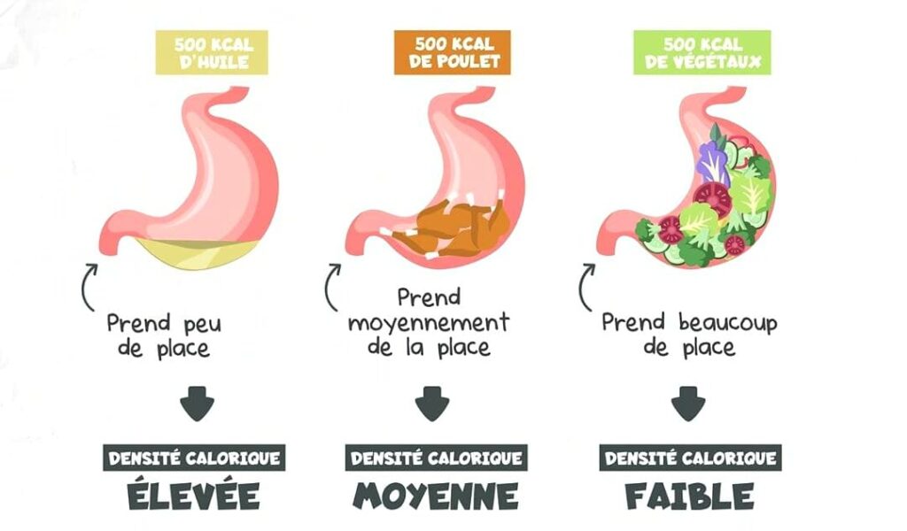 densité caloriques des aliments pour perdre du poids