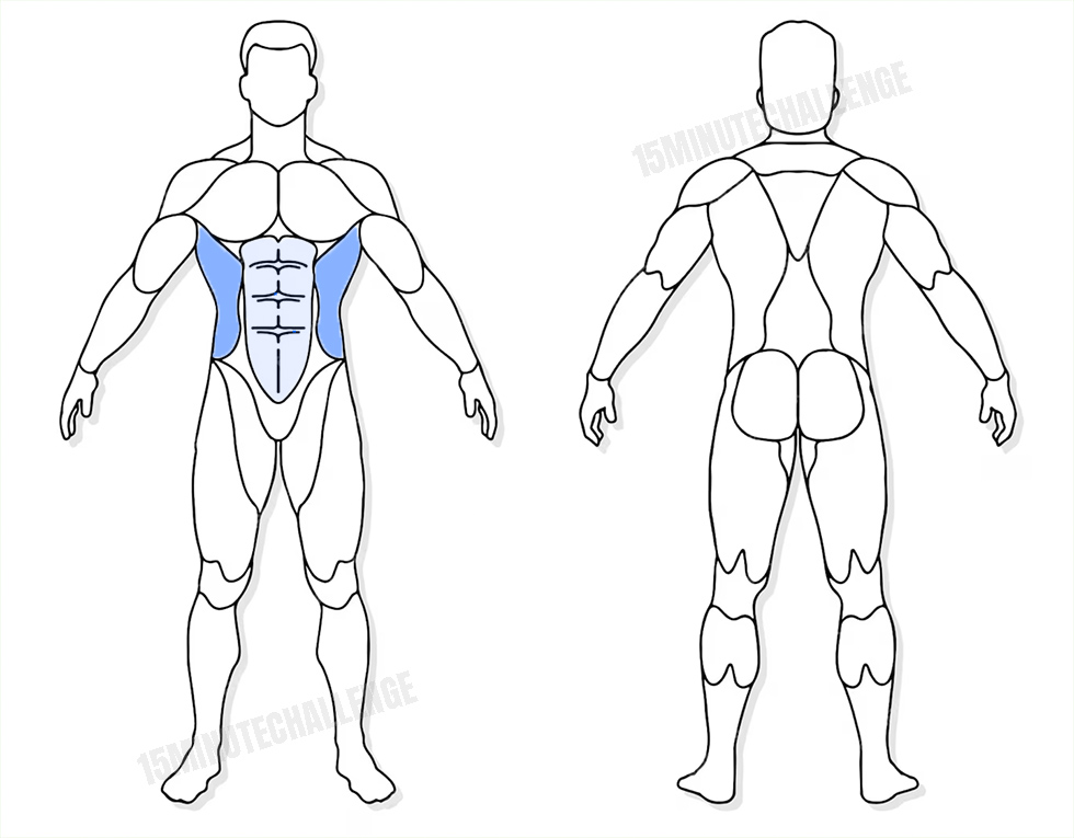 visuel anatomique des muscles sollicités par l'exercice du Crunch latéral